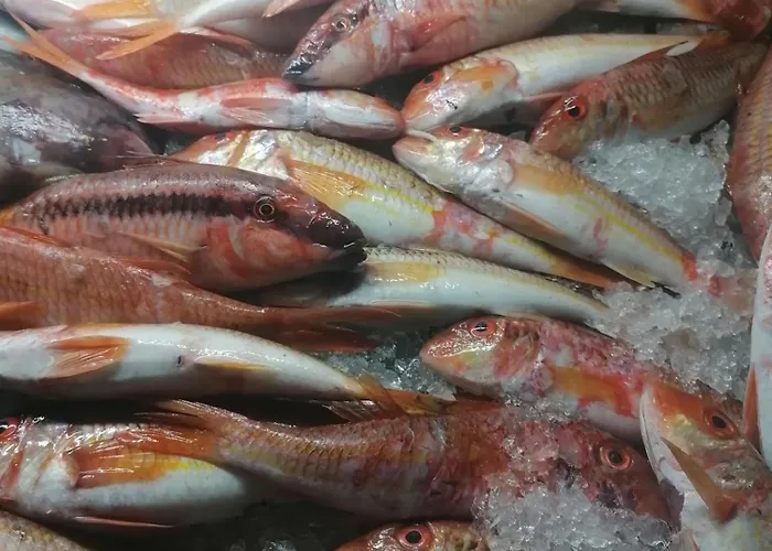 Daire Oasis Diafánion