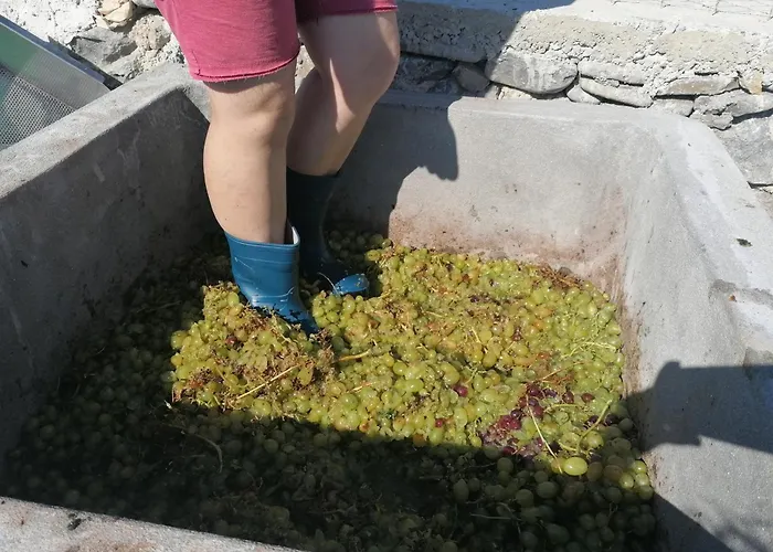 Daire Oasis Diafánion