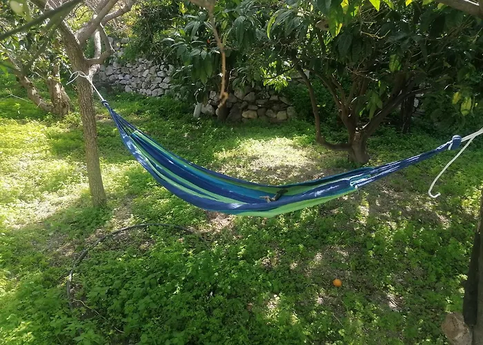 Daire Oasis Diafánion