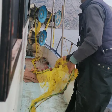 Διαμέρισμα Oasis Διαφάνιον