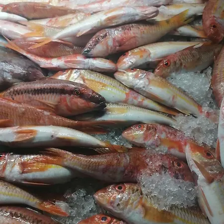 Διαμέρισμα Oasis Διαφάνιον