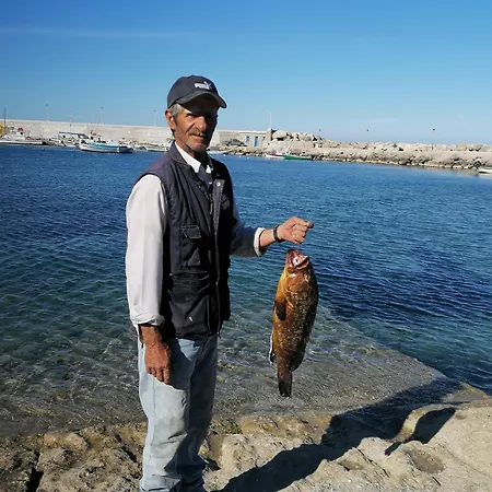 Oasis Διαφάνιον