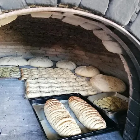 Oasis Διαμέρισμα *