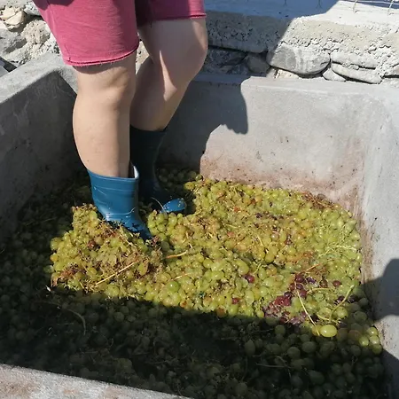 Διαμέρισμα Oasis Διαφάνιον