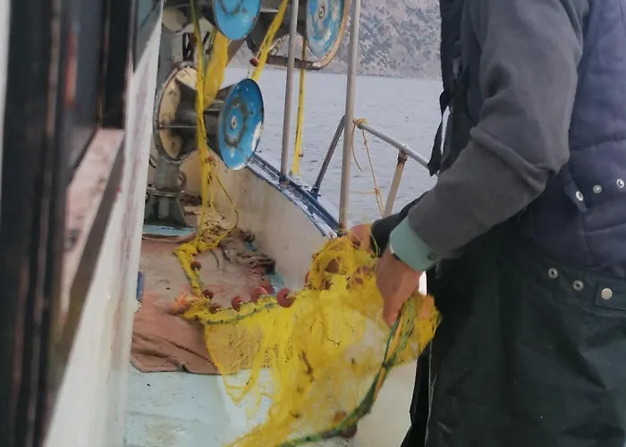 Apartament Oasis Diafánion